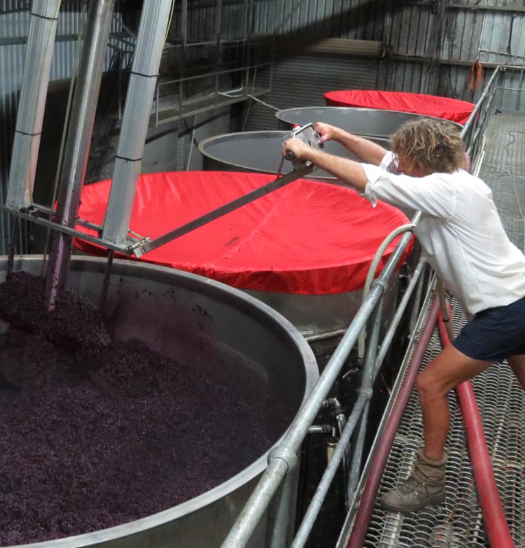 Winemaking